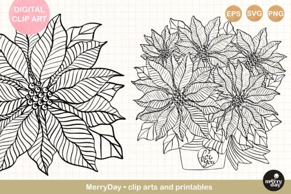 2 Poinsettia Christmas Flower Line Art Graphics