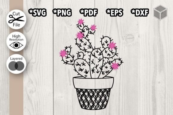 Blooming Cactus: Graphics and Illustrations for Creative Publishing