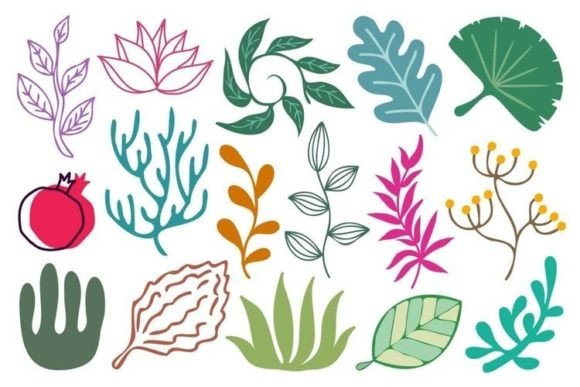 Botanical Graphics for Creative Design