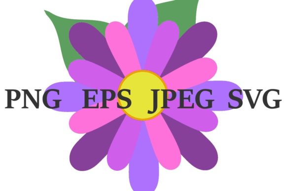 Daisy PNG SVG JPEG EPS Graphics