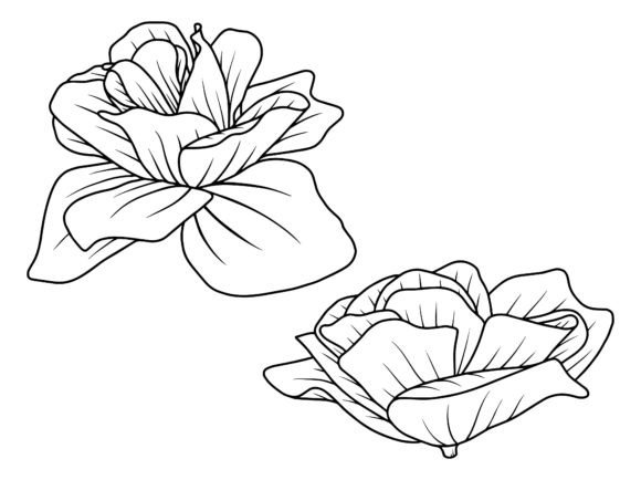 Flower Line Art Free Graphics