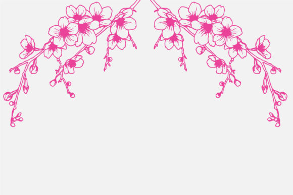 Hand Drawing Pink Cherry Blossom Branch Graphics