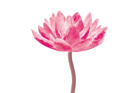 Lotus Flower Watercolor Graphics Freebies