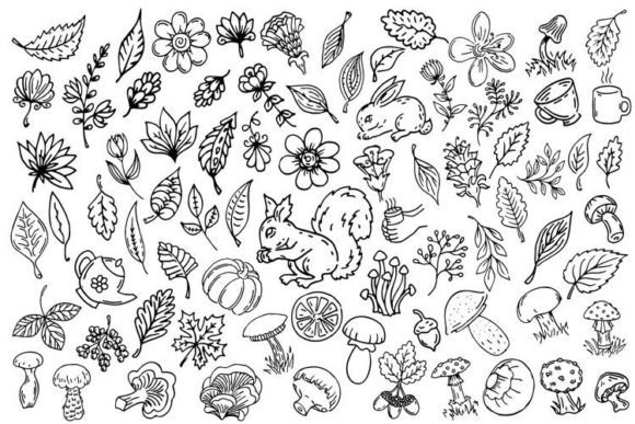Outline Doodle Illustrations for Graphics and Illustrations