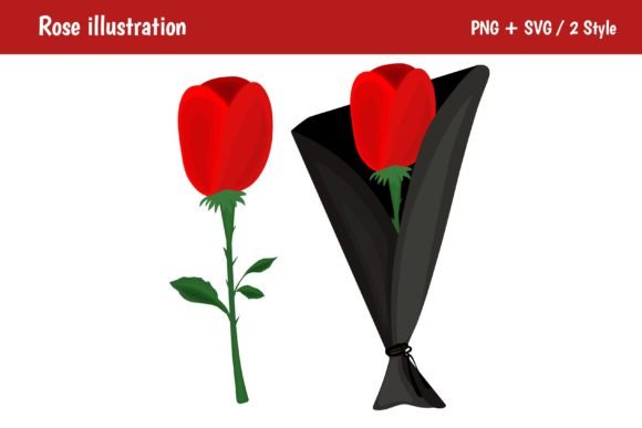 Red Rose Illustration: Graphics and Illustrations for Editorial Excellence