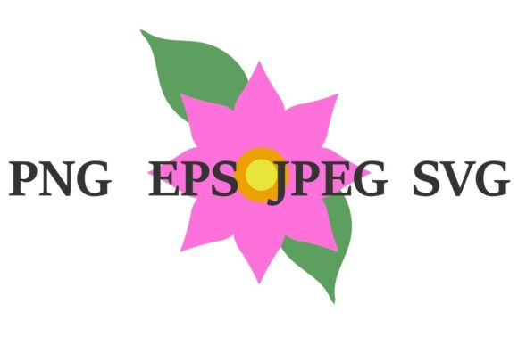 Spring Daisy: Graphics and Illustrations for Editorial Excellence