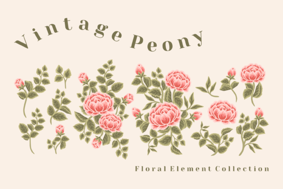 Vintage Rustic Peony Flower Element Set